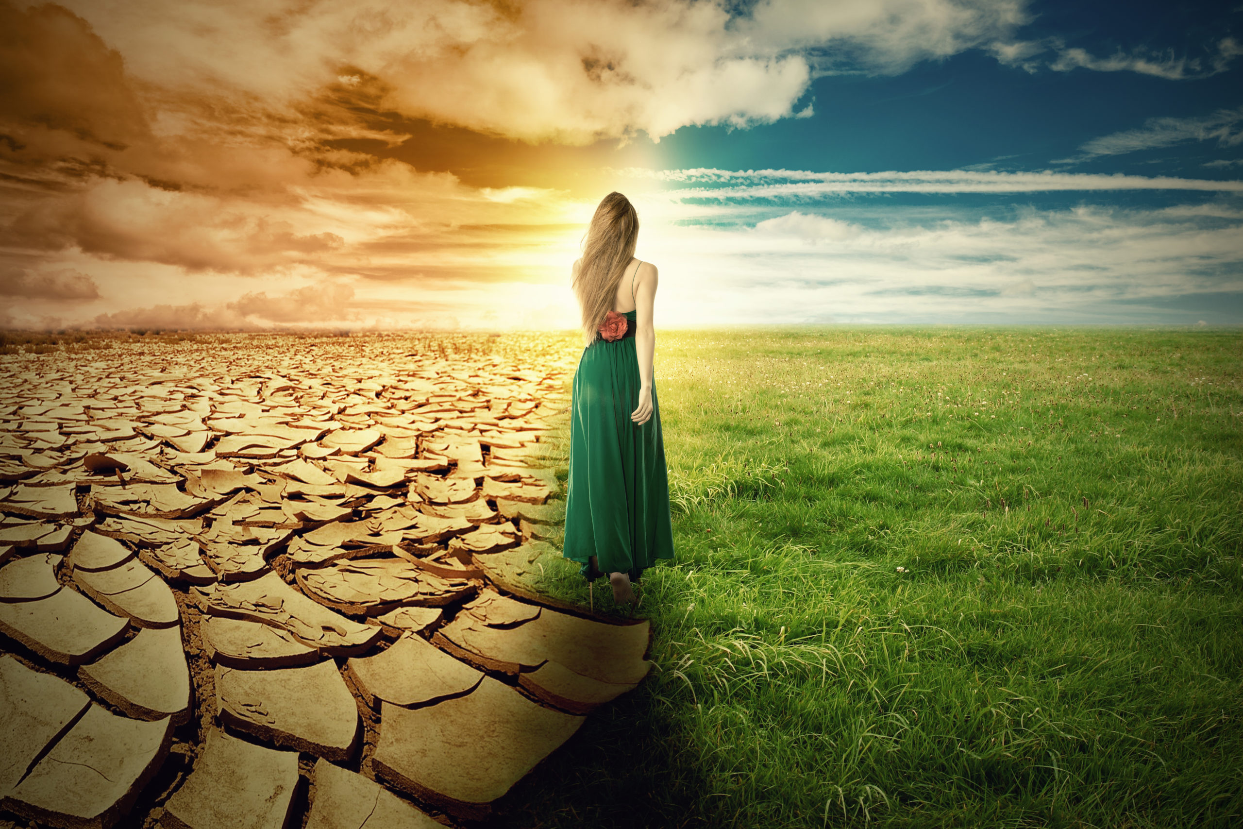 A Climate Change Concept Image. Landscape of a green grass and extreme dry drought land